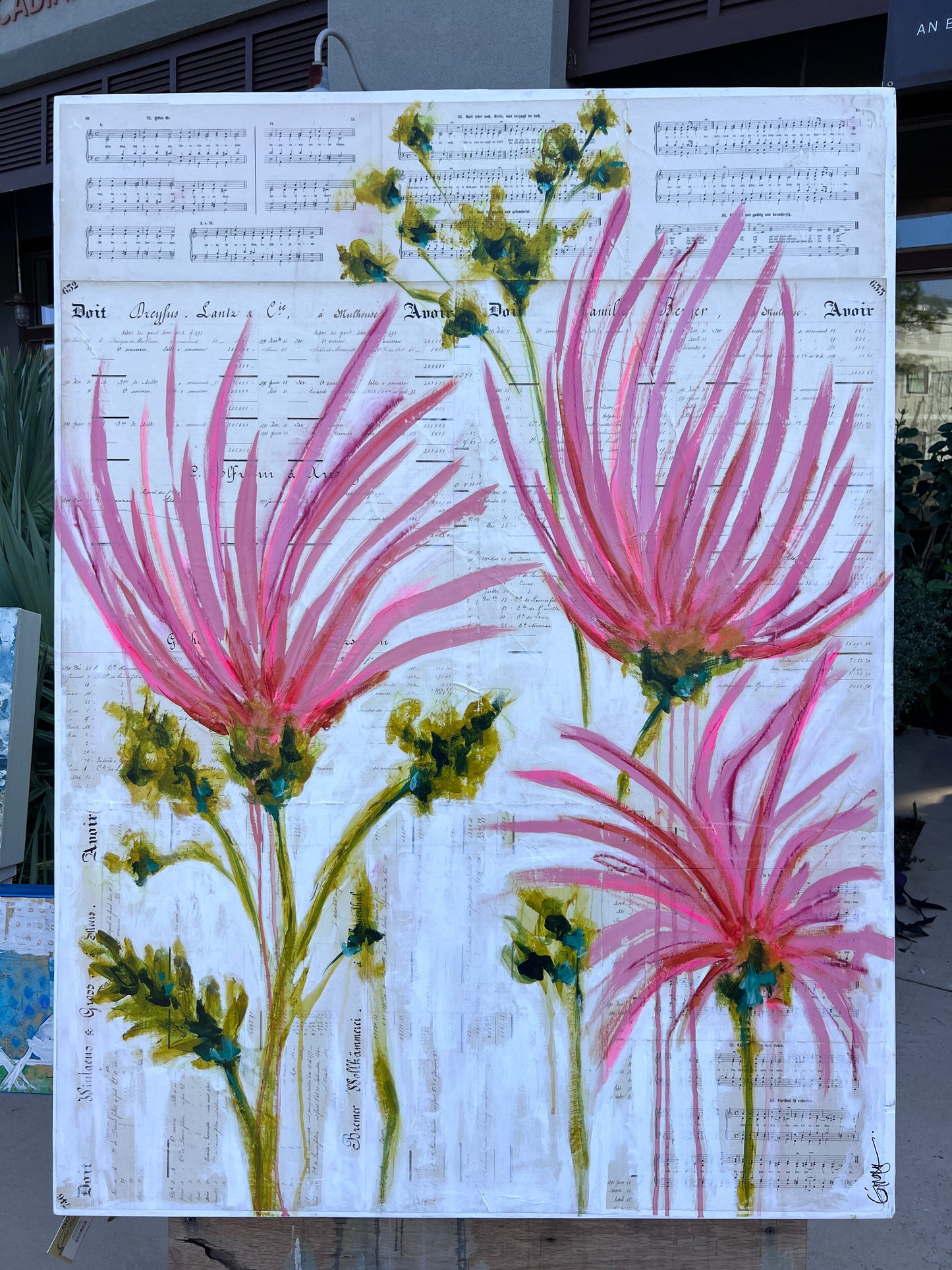 Botanical Study: Mimosa