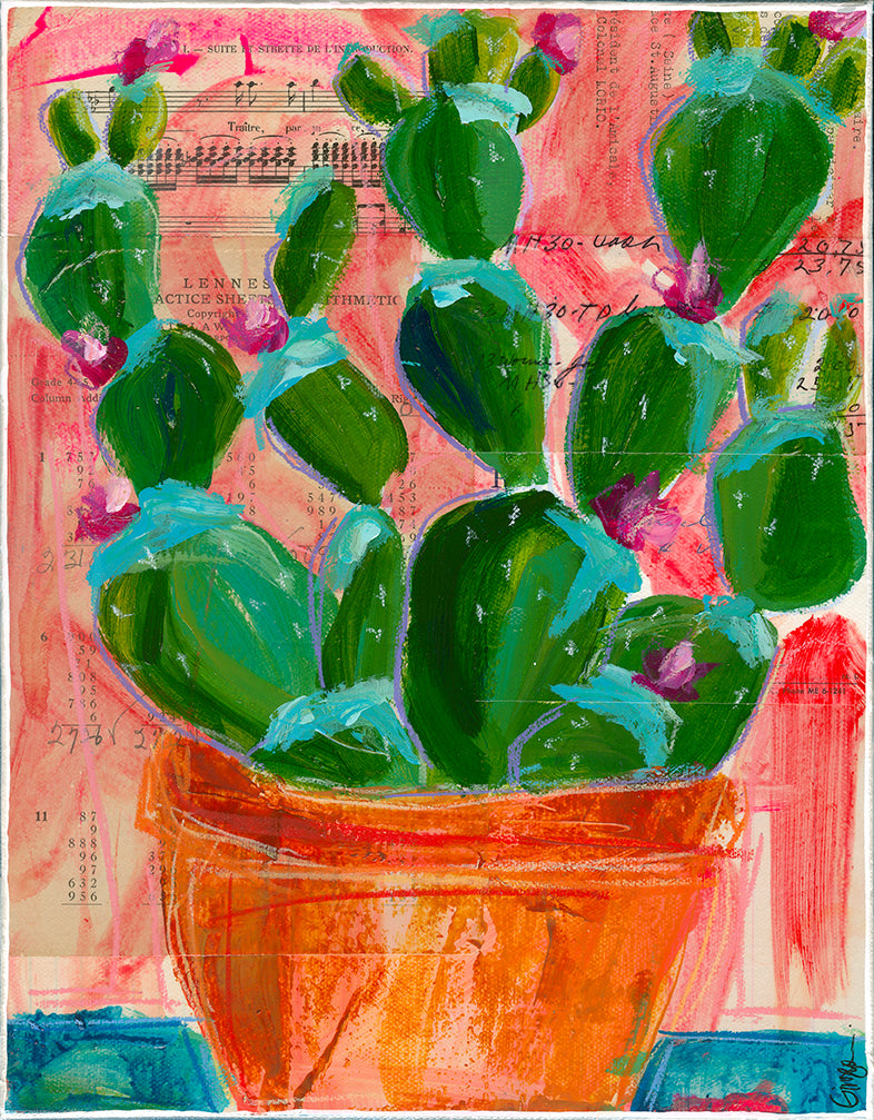 Cactus
